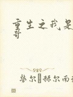 重生之我是大帅哥