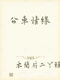 公车情缘