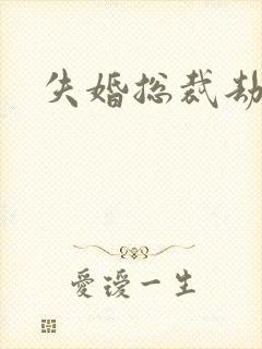 失婚总裁劫前妻