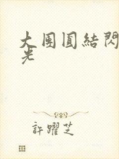 大团圆结闪闪发光