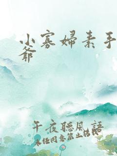 小寡妇素手擒四爷