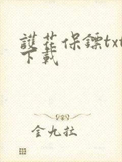 护花保镖txt下载