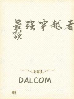 最强穿越者 小说