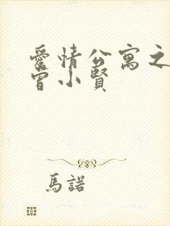 爱情公寓之极品曾小贤