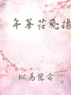 年华庄飞扬