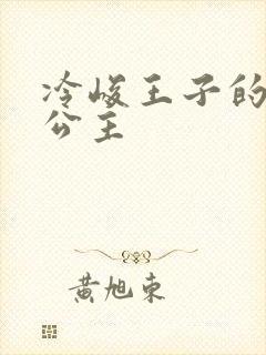 冷峻王子的完美公主