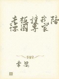 老板让我陪两个德国专家