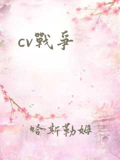 cv战争