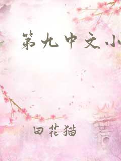 第九中文小说网