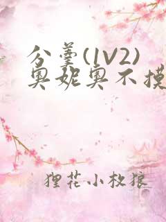 分羹(1V2)奥妮奥不摸鱼