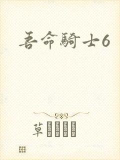 吾命骑士6
