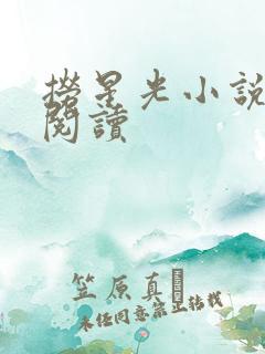 捞星光小说免费阅读