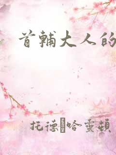 首辅大人的套路