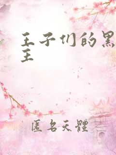 王子们的黑道公主