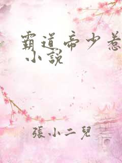 霸道帝少惹不得 小说