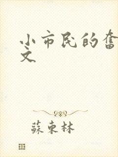 小市民的奋斗燃文