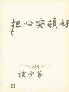 把心安顿好txt