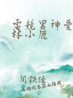 电竞男神爱上我林小鹿