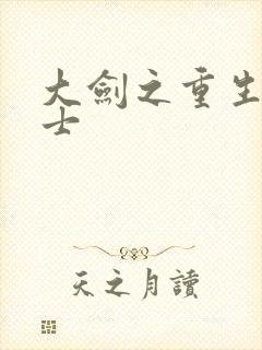 大剑之重生圣骑士