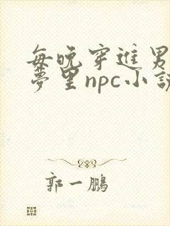 每晚穿进男神的梦里npc小说