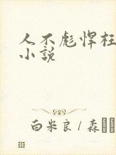 人不彪悍枉少年小说