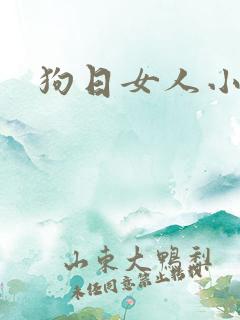狗日女人小说