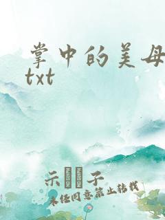 掌中的美母版主txt