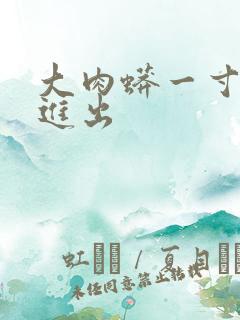 大肉蟒一寸一寸进出