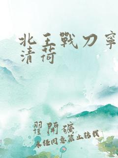 北王战刀宁北苏清荷