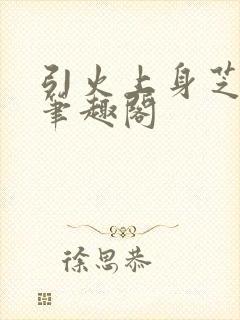 引火上身芝麻糖笔趣阁