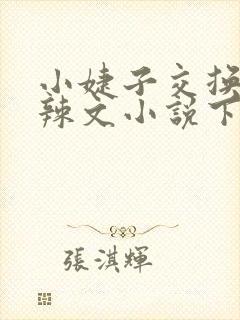 小婕子交换系列辣文小说下载