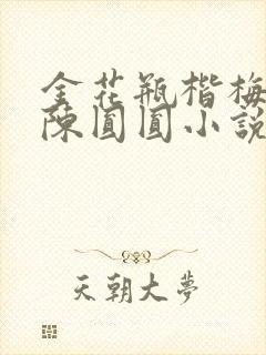 金花瓶楷梅花2陈圆圆小说