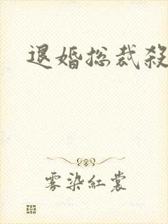 退婚总裁杀手妻