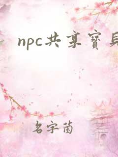 npc共享宝贝