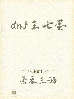 dnf王七蛋