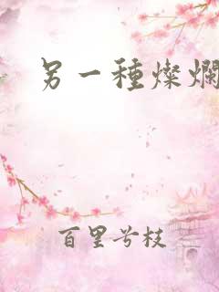 另一种灿烂生活