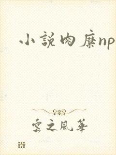 小说肉糜np