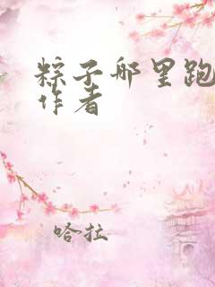 粽子哪里跑小说作者