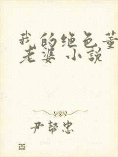 我的绝色董事长老婆 小说