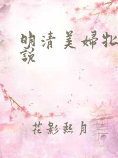 明清美妇牝户小说