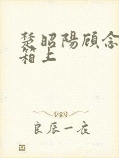 楚昭阳顾念在冰箱上