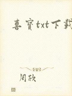 喜宝txt下载