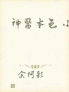神医本色 小说