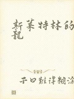 斯莱特林的铂金龙