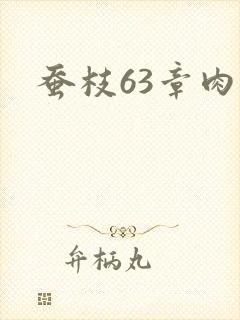 蚕枝63章肉