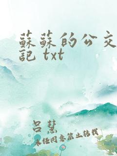 苏苏的公交车日记 txt