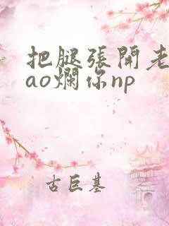 把腿张开老子cao烂你np