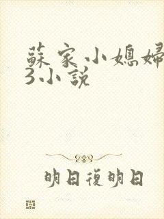 苏家小媳妇1V3小说