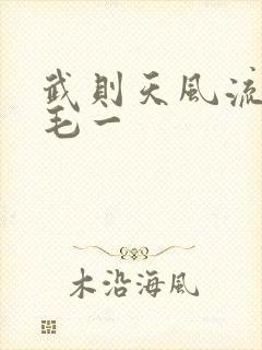 武则天风流艳情毛一