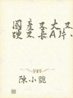 国产又大又粗又硬又长A片小说